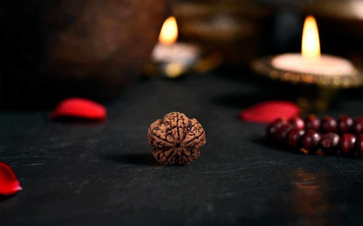 šļøš 5 Mukhi Rudraksha ā Lab Certified | Divine Energy Bead for Balance & Protection ššļø