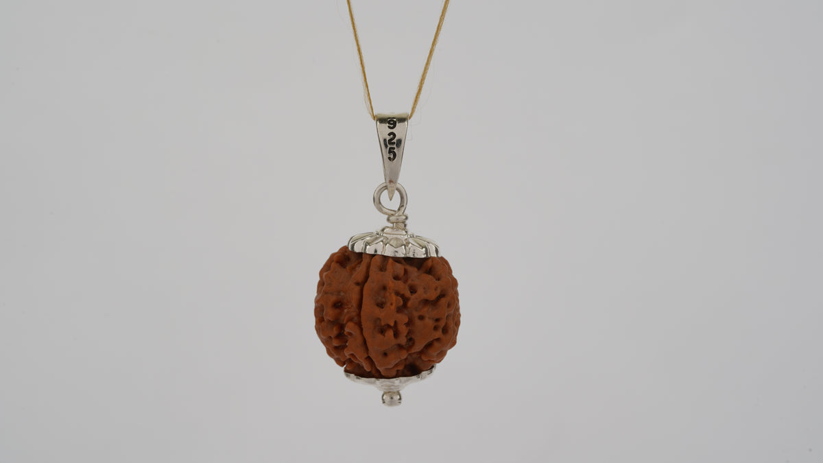 šļøš 5 Mukhi Rudraksha ā Lab Certified | Divine Energy Bead for Balance & Protection ššļø