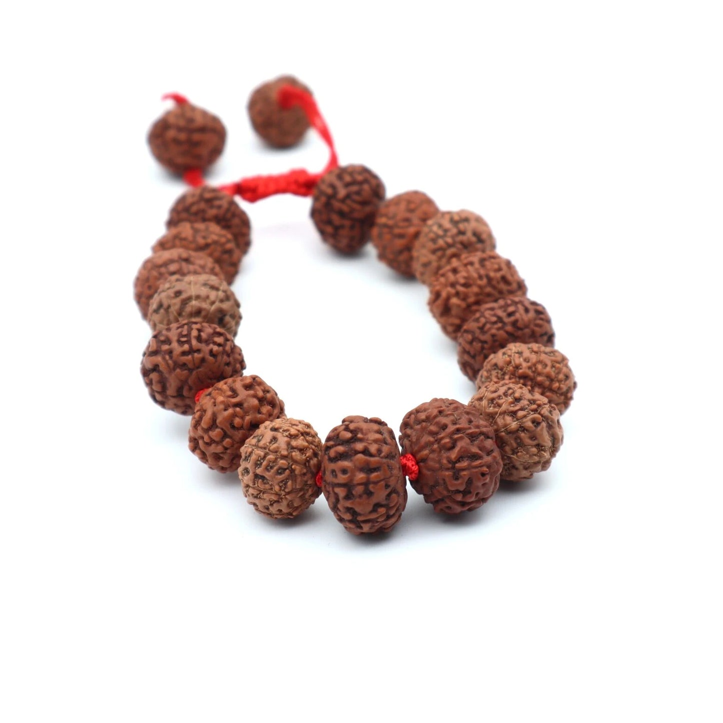 5 MUKHI RUDRAKSHA BRACELET (Adjustable Sliding Knot)  Lab Certificate