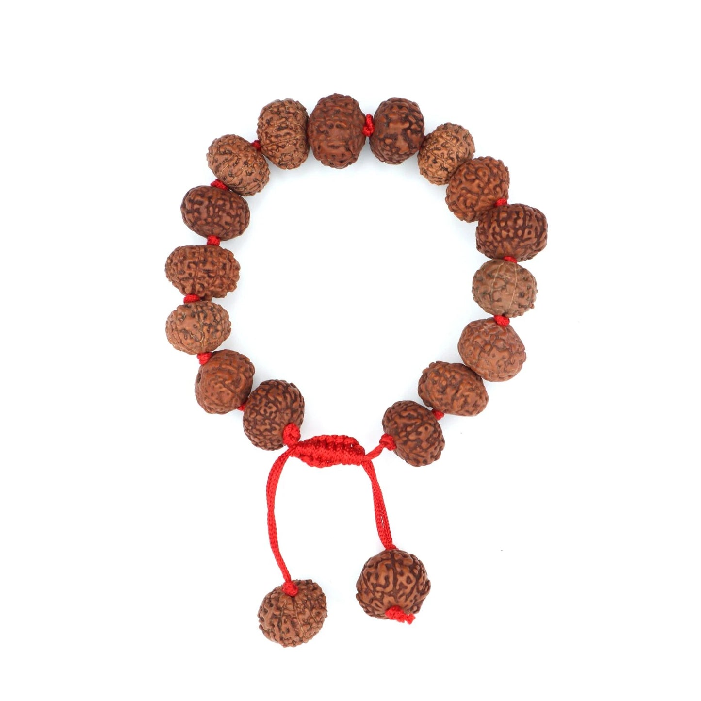 5 MUKHI RUDRAKSHA BRACELET (Adjustable Sliding Knot)  Lab Certificate