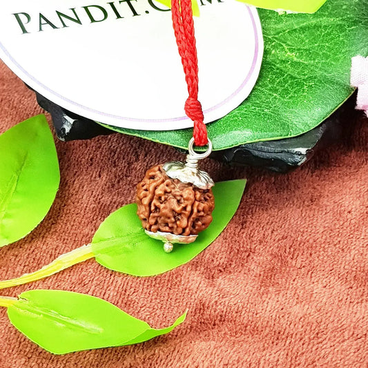 🕉️🛕 5 Mukhi Rudraksha – Lab Certified | Divine Energy Bead for Balance & Protection 🛕🕉️