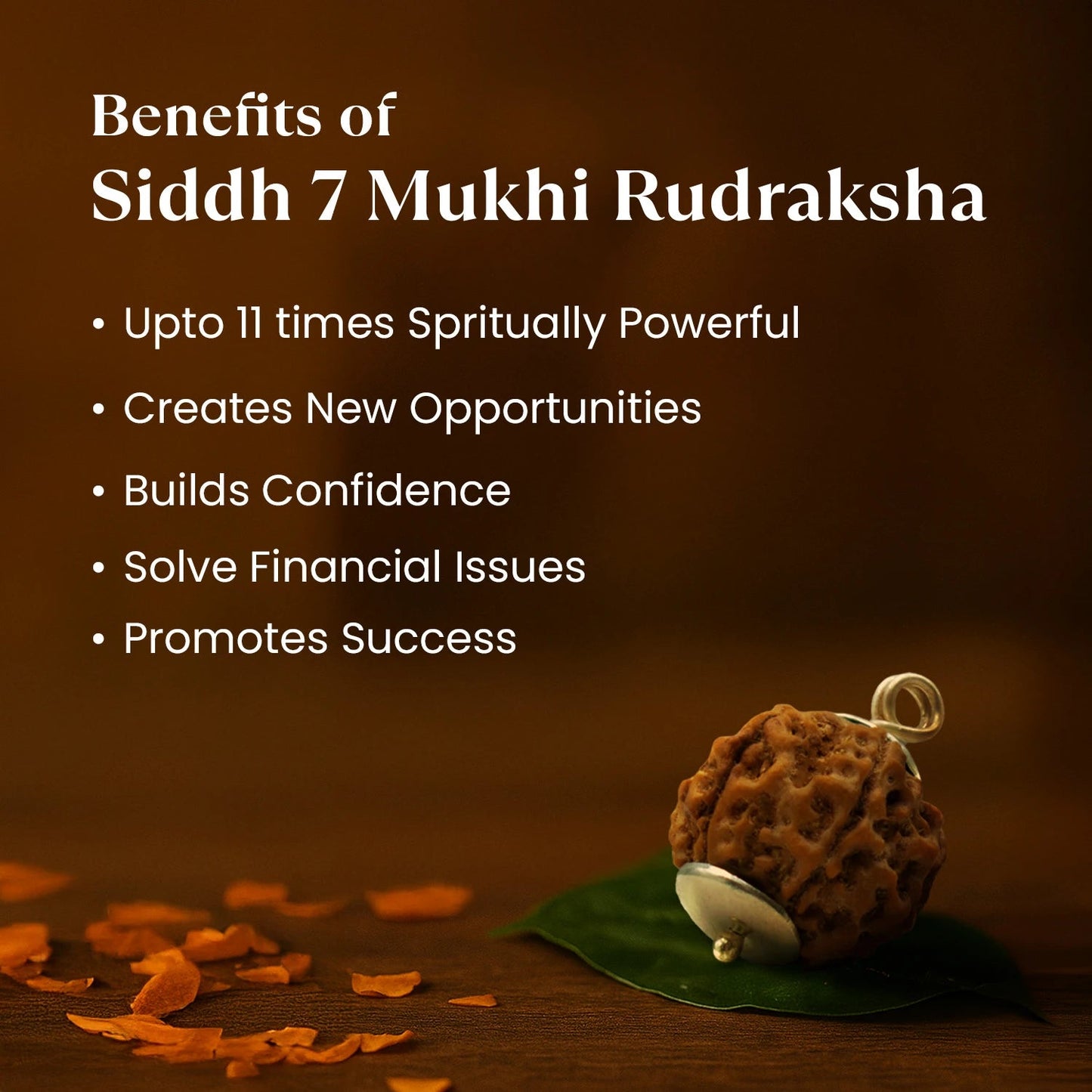 Nepal Origin 7 Mukhi Rudraksha