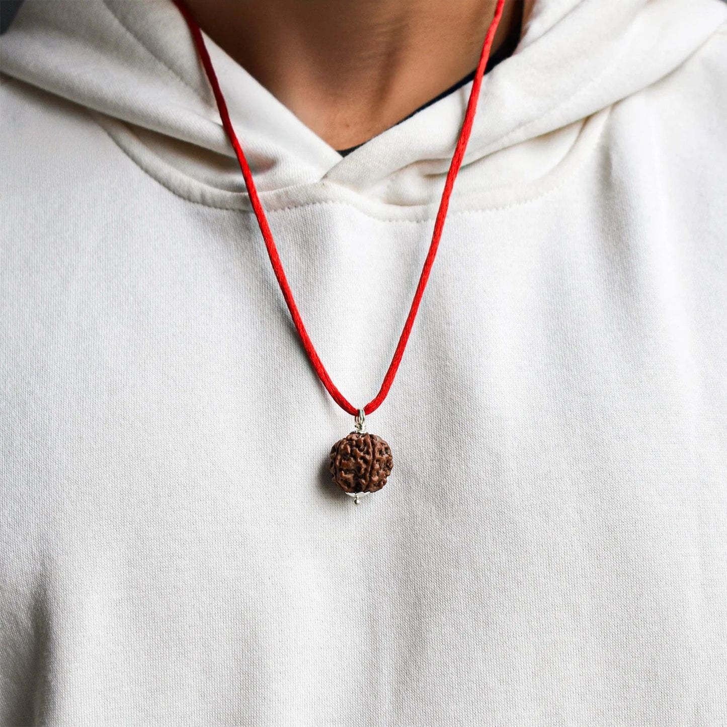 Nepal Origin 7 Mukhi Rudraksha
