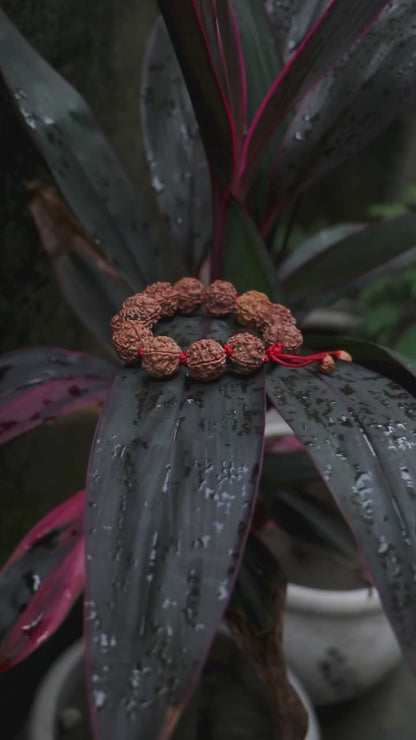 5 MUKHI RUDRAKSHA BRACELET (Adjustable Sliding Knot)  Lab Certificate